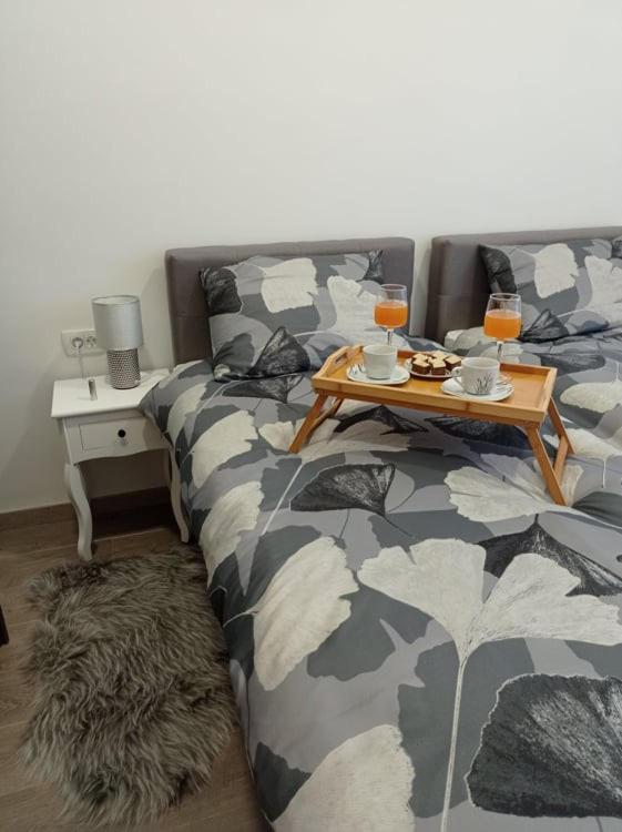 Apartman Cezar Apartment Rijeka Luaran gambar